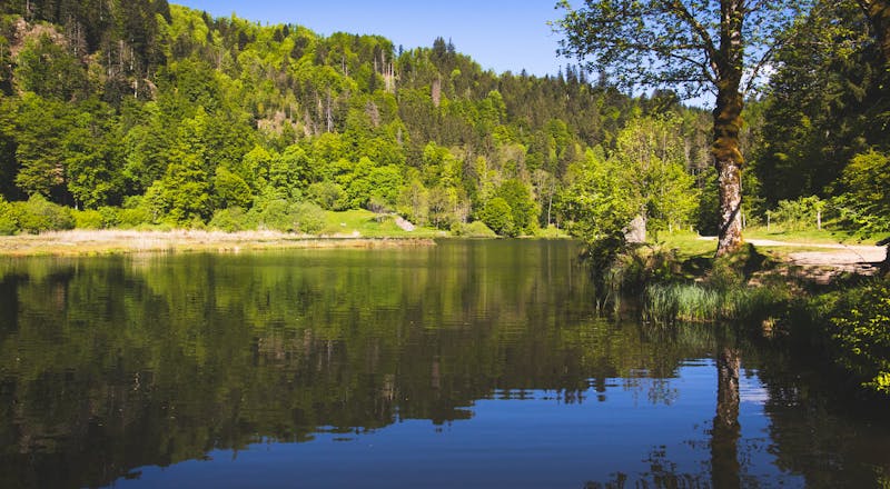 Bömbachsee