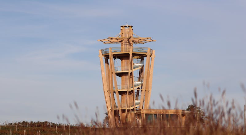 Schönbuch Turm